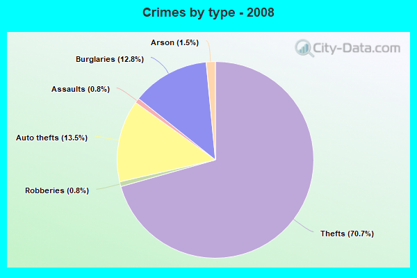 Crimes by type - 2008