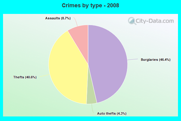 Crimes by type - 2008