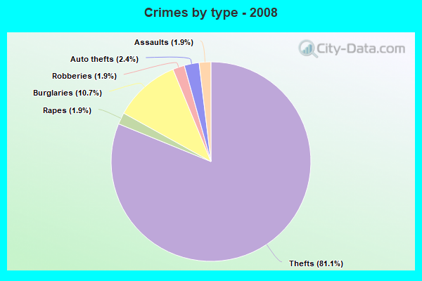 Crimes by type - 2008