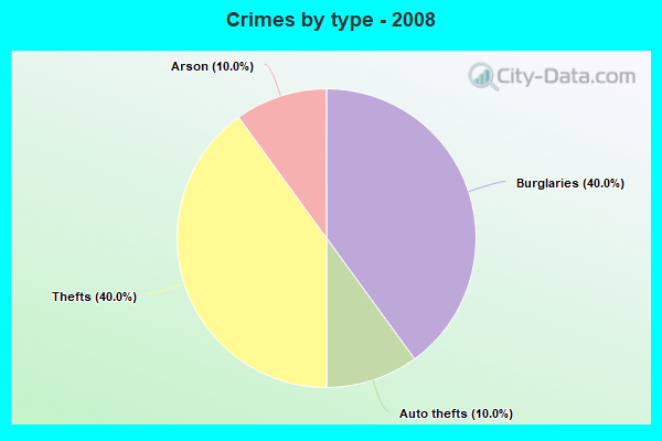 Crimes by type - 2008