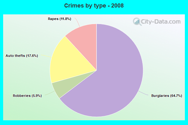 Crimes by type - 2008