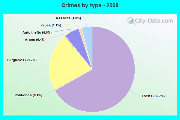 Crimes by type - 2008