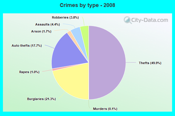 Crimes by type - 2008