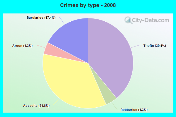 Crimes by type - 2008