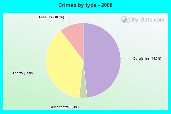 Crimes by type - 2008