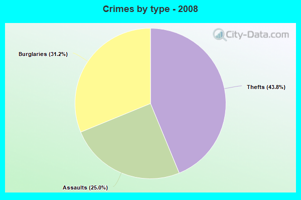 Crimes by type - 2008