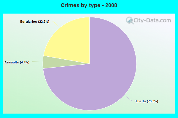 Crimes by type - 2008