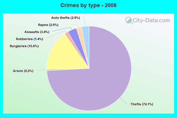 Crimes by type - 2008