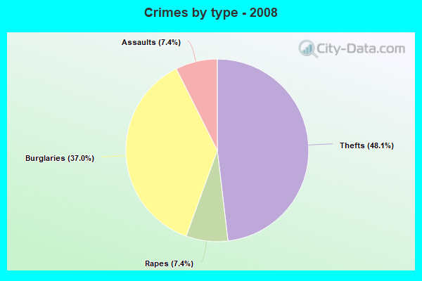 Crimes by type - 2008