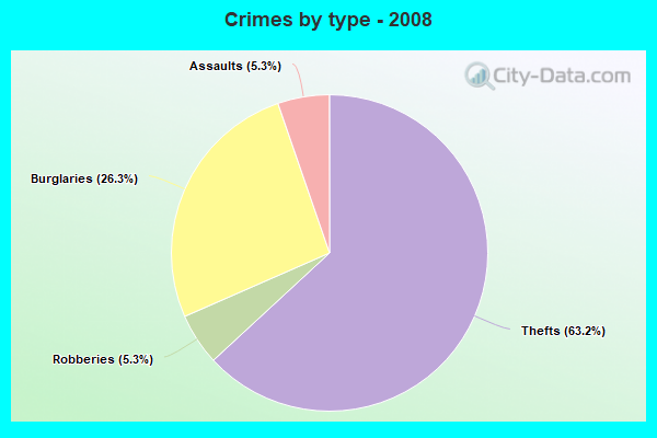 Crimes by type - 2008