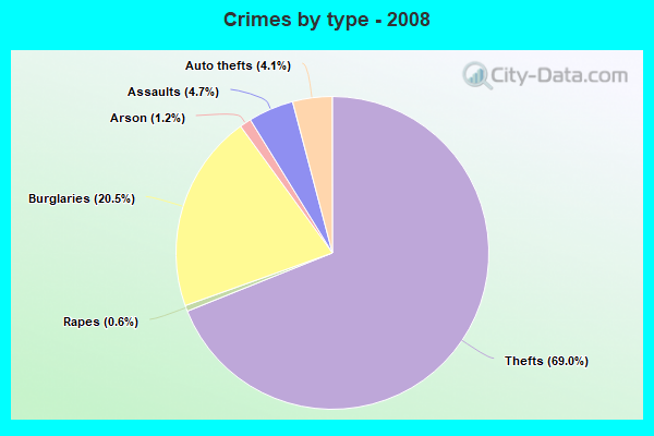 Crimes by type - 2008