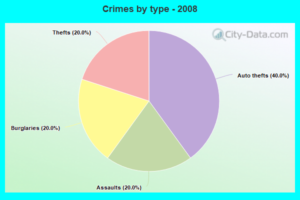 Crimes by type - 2008