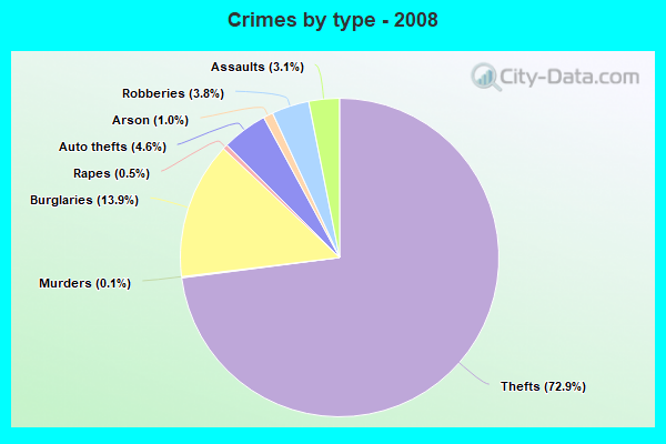 Crimes by type - 2008