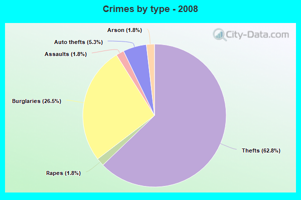 Crimes by type - 2008