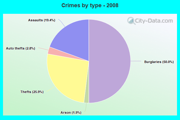 Crimes by type - 2008