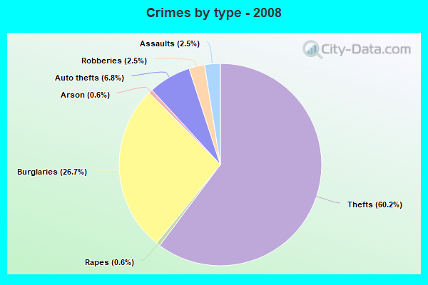 Crimes by type - 2008