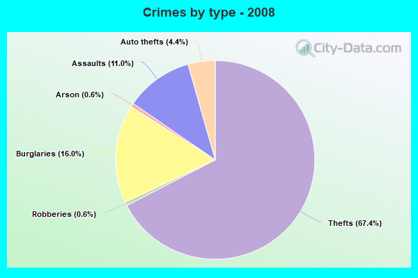 Crimes by type - 2008