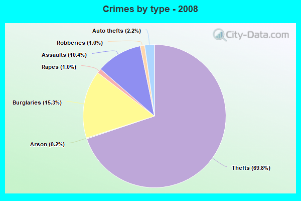 Crimes by type - 2008