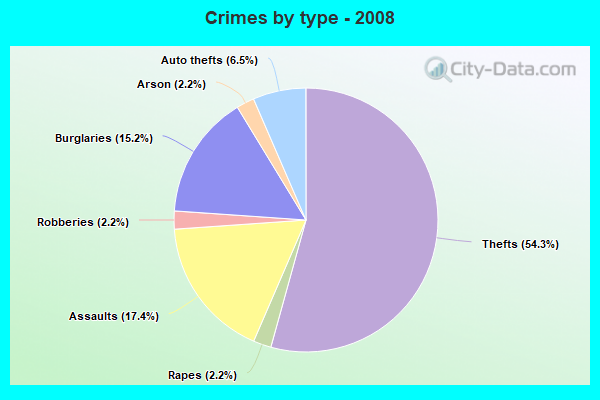 Crimes by type - 2008