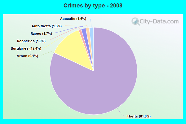 Crimes by type - 2008