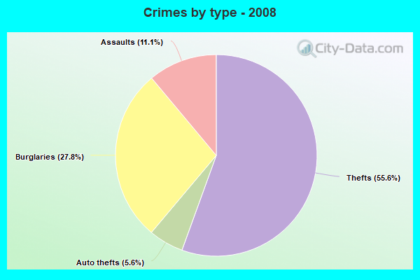 Crimes by type - 2008