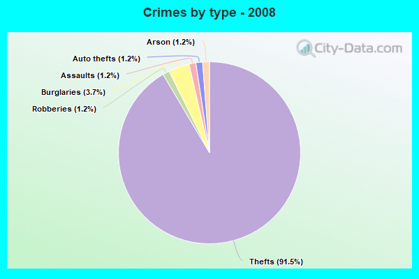 Crimes by type - 2008