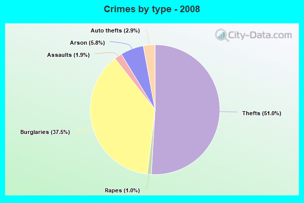 Crimes by type - 2008