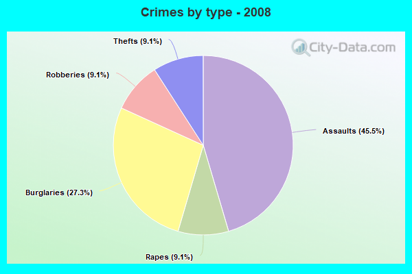 Crimes by type - 2008