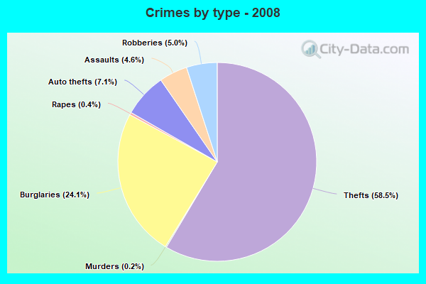 Crimes by type - 2008