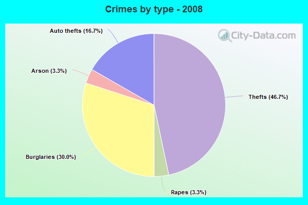 Crimes by type - 2008