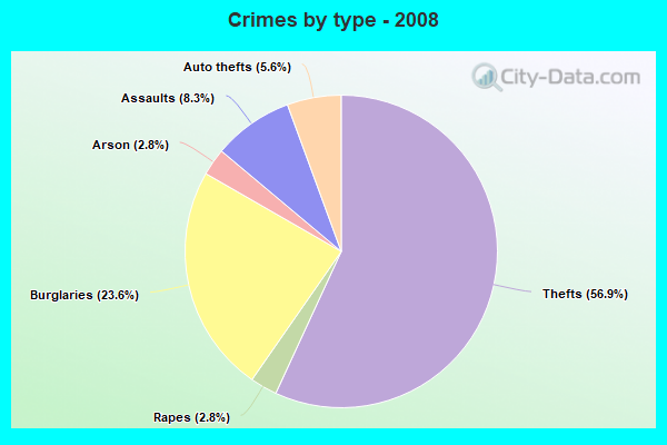 Crimes by type - 2008