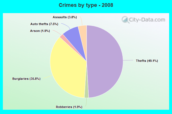 Crimes by type - 2008