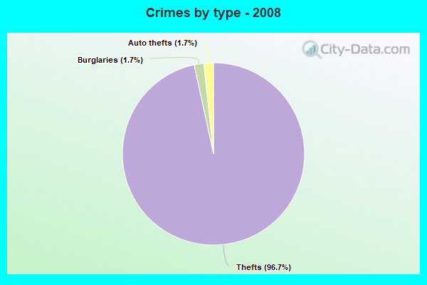 Crimes by type - 2008