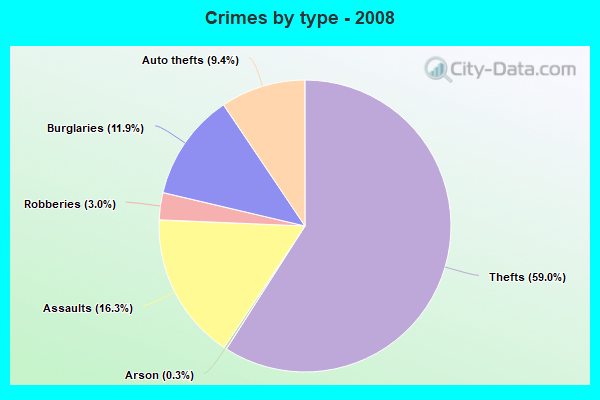 Crimes by type - 2008