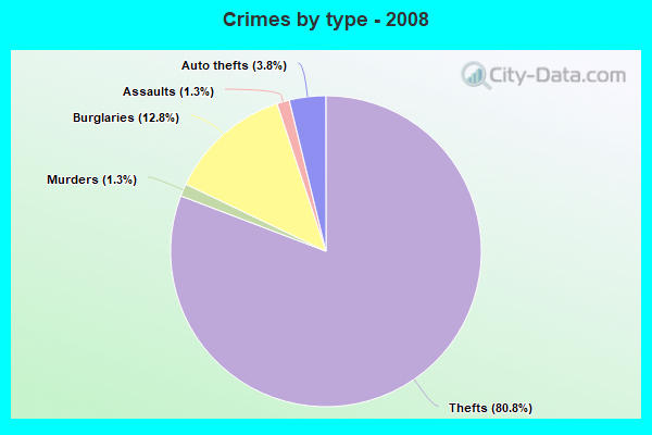 Crimes by type - 2008