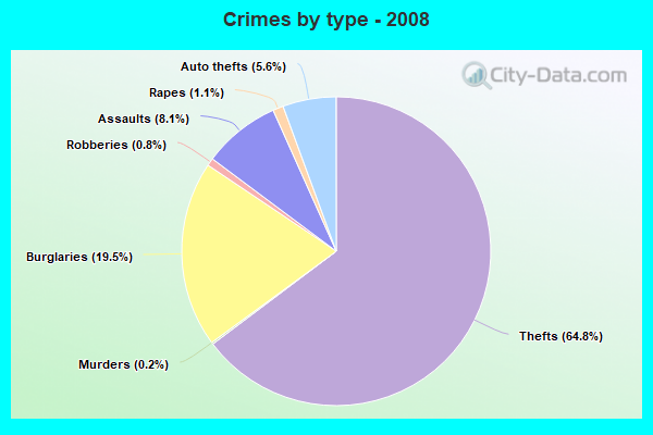 Crimes by type - 2008