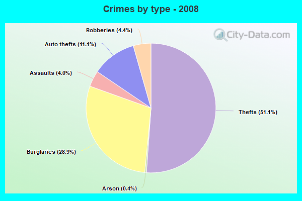 Crimes by type - 2008