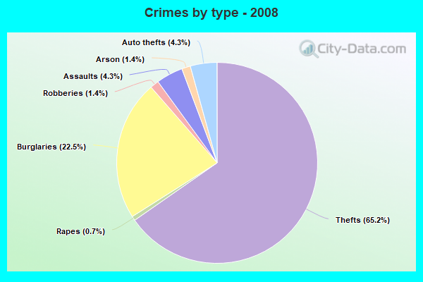 Crimes by type - 2008