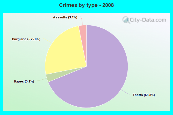 Crimes by type - 2008