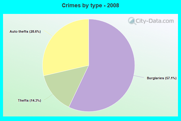 Crimes by type - 2008