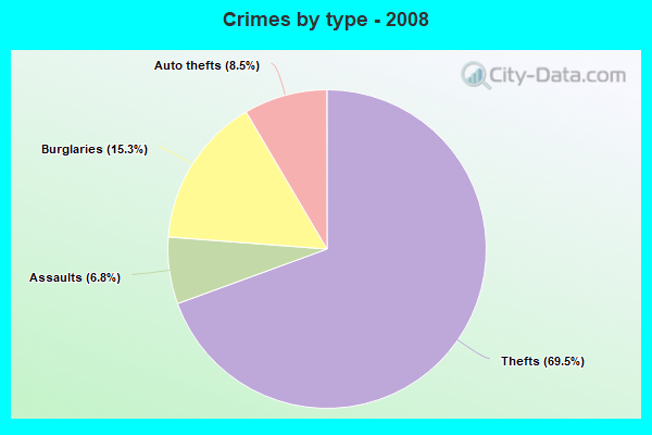 Crimes by type - 2008