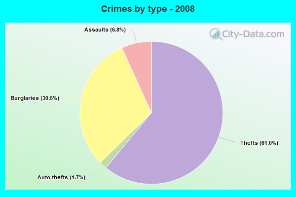 Crimes by type - 2008