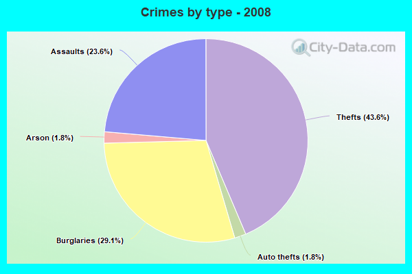 Crimes by type - 2008