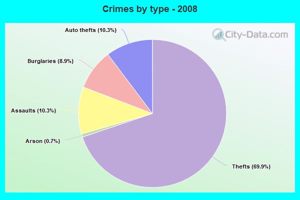 Crimes by type - 2008