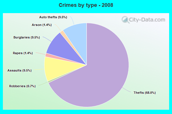 Crimes by type - 2008