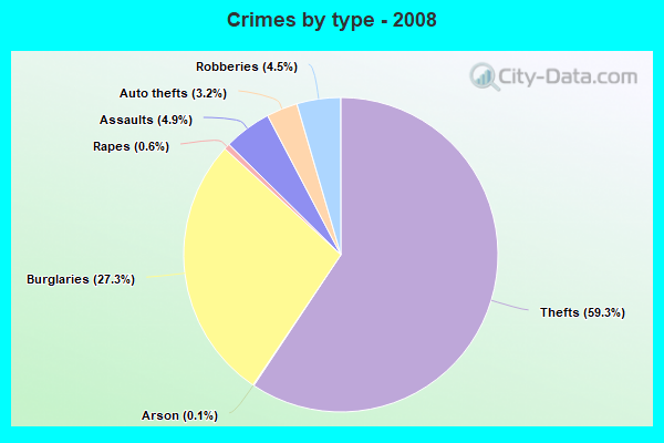 Crimes by type - 2008