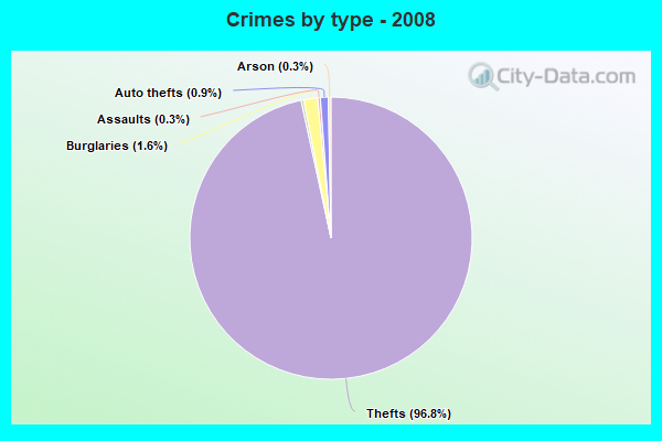 Crimes by type - 2008