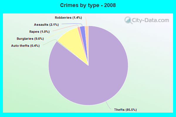 Crimes by type - 2008