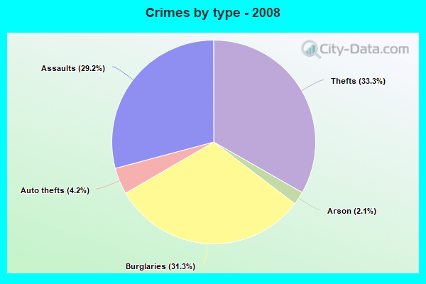 Crimes by type - 2008