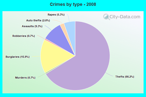 Crimes by type - 2008